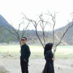 Compress 20241111 212706 6641