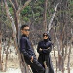 Compress 20241111 212715 5607